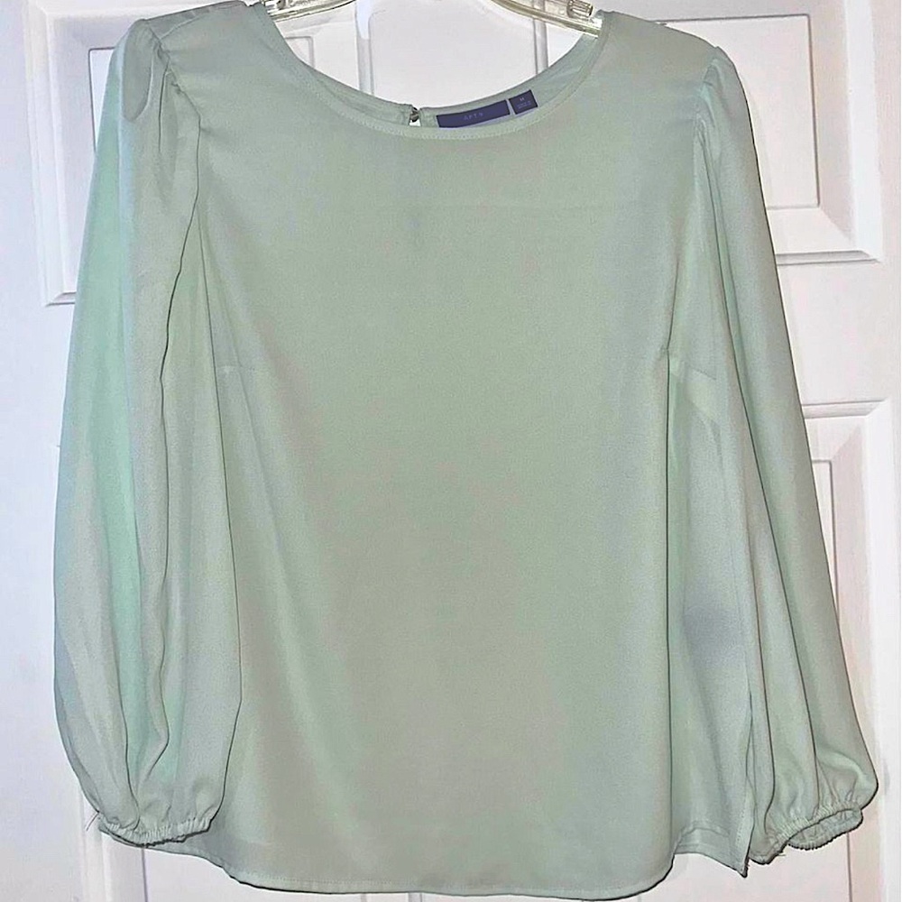 Apt. 9 Long Sleeve Sheer Mint Blouse